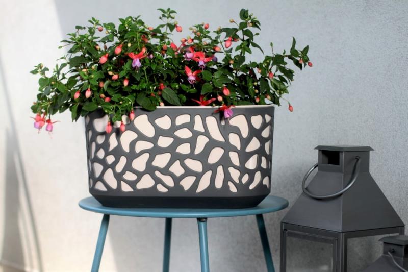 Skrzynka DUET_nr 23_1_.jpg