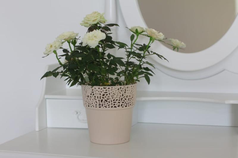 ROSA jasny beż nr 68 (2)_.jpg