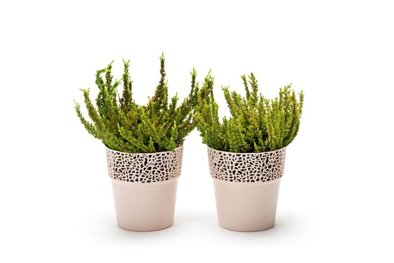 ROSA jasny beż nr 68__.jpg