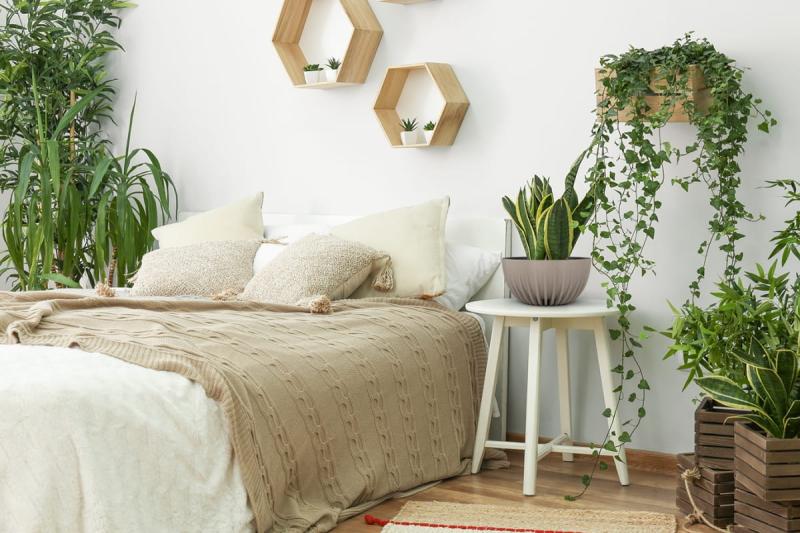 LOZKO-2@0,25x (1)_.jpg