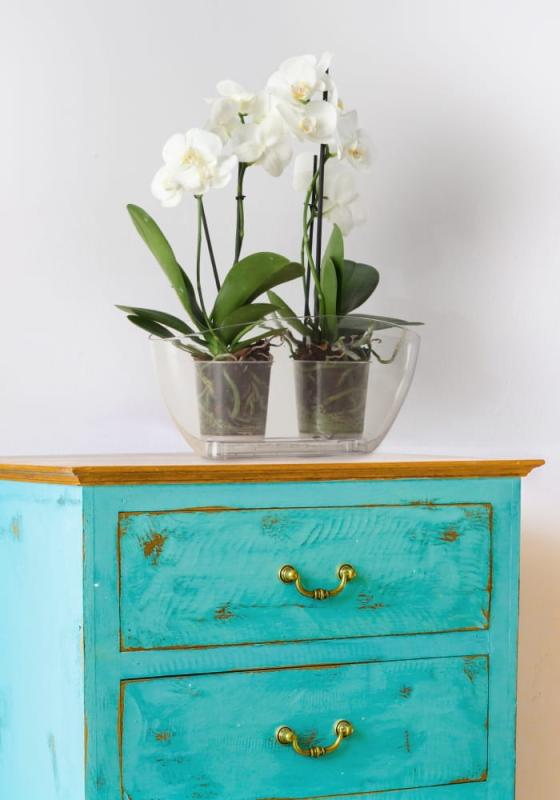 LUNA BEZBARWNY 1 NR 59_.jpg