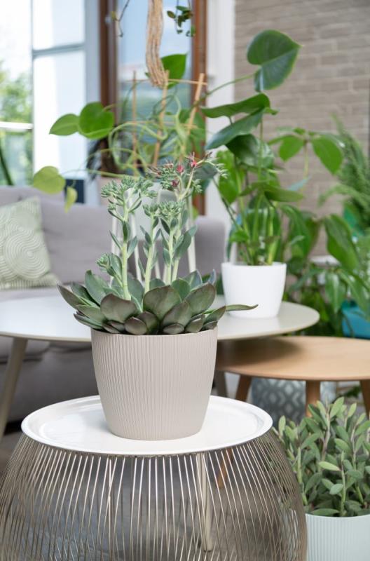 MAGNOLIA jumper taupe nr 44_2_.jpg