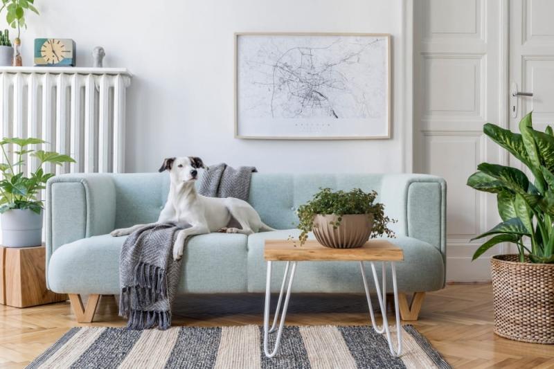 Misa MIRA eco coffee_latte_.jpg