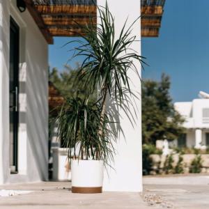 Doniczka z podstawką 15 cm biala okrągła Tubo PM