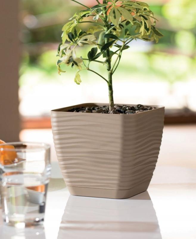 fede33d1d1edf5a637874c6bf53955ee