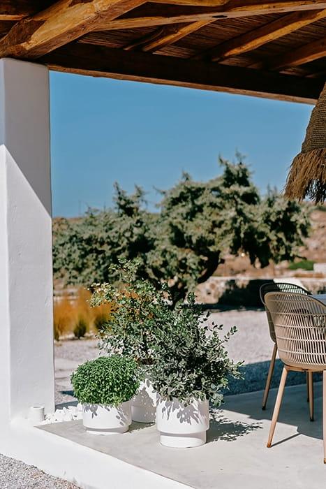 f3a25ac547ba94619f7566a3a06a6896