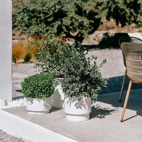 b20b064e54657ed09065fc916a6a6fff