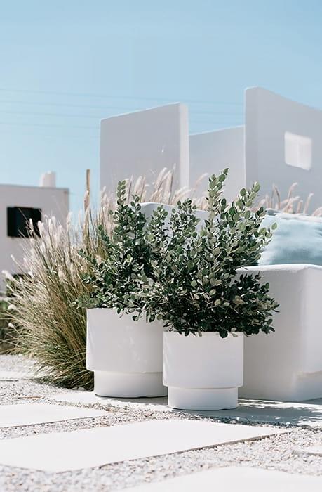 47771407c1a7d0ff14cc30d9df0481e2