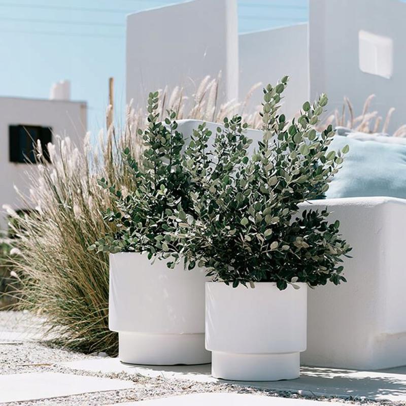 277357928156d95cb1ecbb2f10d4f58c