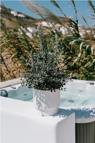 8f53609dd0256ec70aa2a22bd9bdadd8