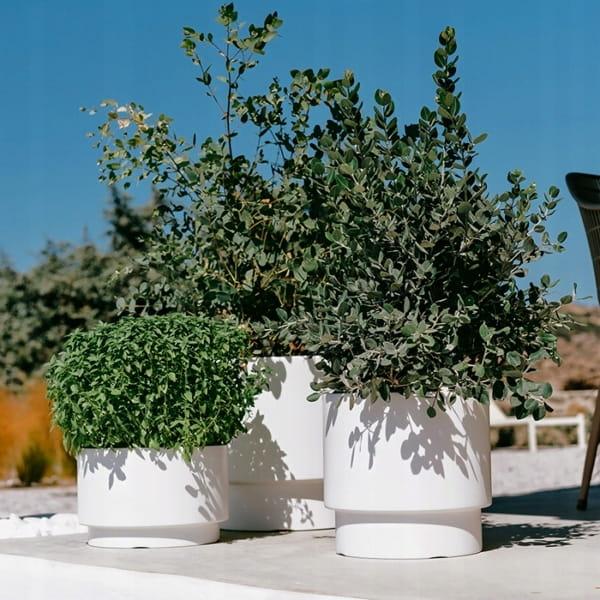 5b162fe82347a45798125d1429a6ce07