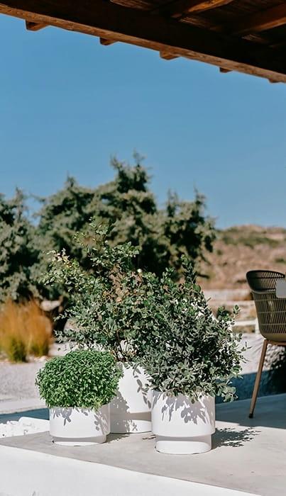 7f18d32d2b8af6b064685aedc09376f9