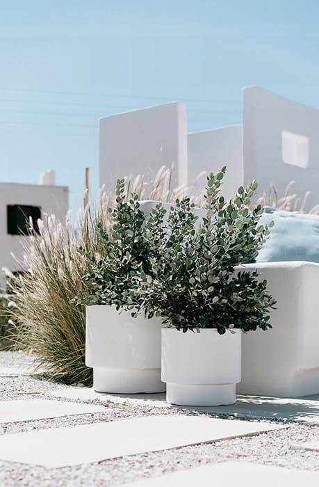 cdda78a477f3be7099b3d7560ee5324a