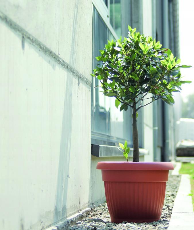 8f378b843f6bf389044cb7441e64b550