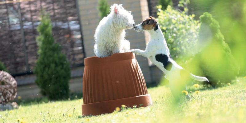 aa8c51df4813bc4172d310ee77e7451b