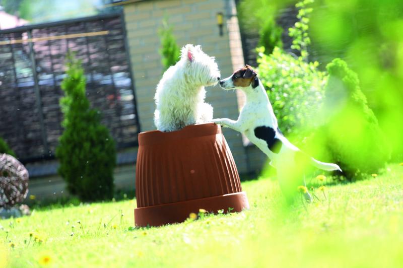 0e0b64d070772701655cceeb7c040f75