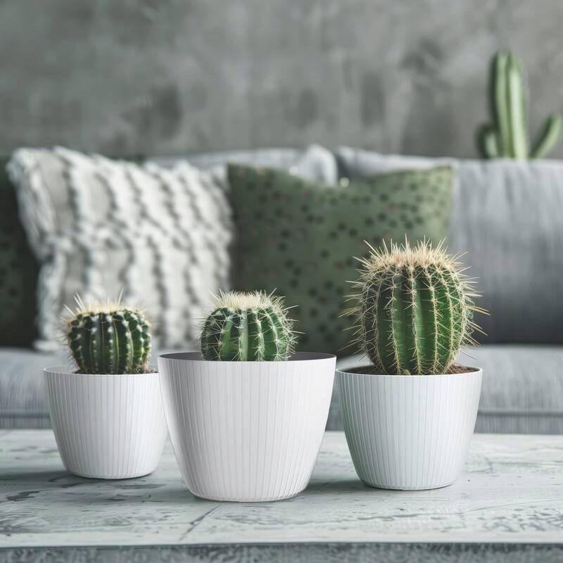 f2906b5caacfe5dae630dd2357bb9317