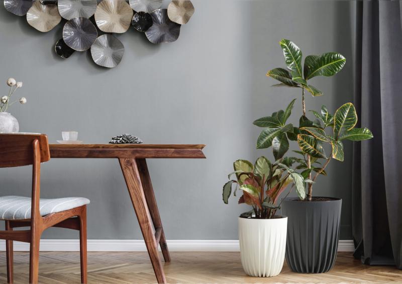 e0b58af276d1f03a635f11deeed1de51