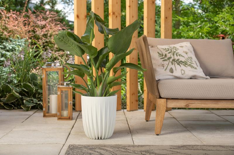 973a6be5a7b9eec42ba9d6c8089f97a0