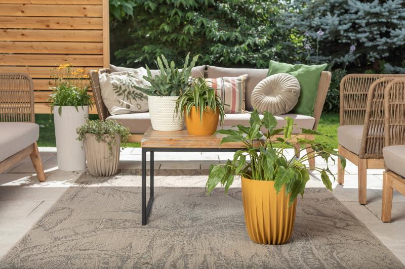 1f1ee80be12adf55470f5cce8db8fb92