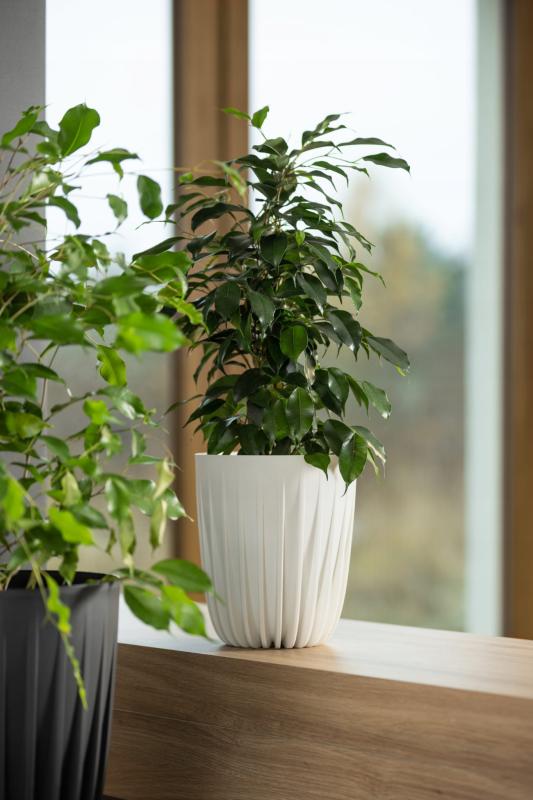 78c116a07addb701b9e221dd5a5a6b02