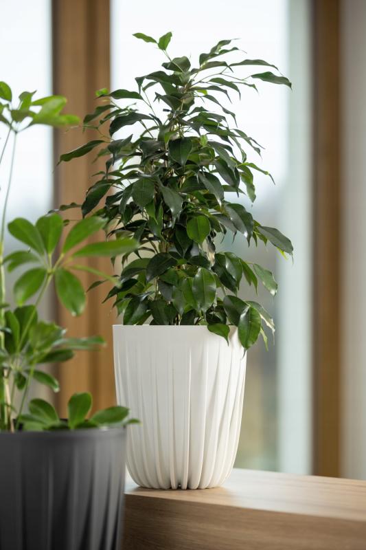 146f2b4498a1aff6155934514acaed94