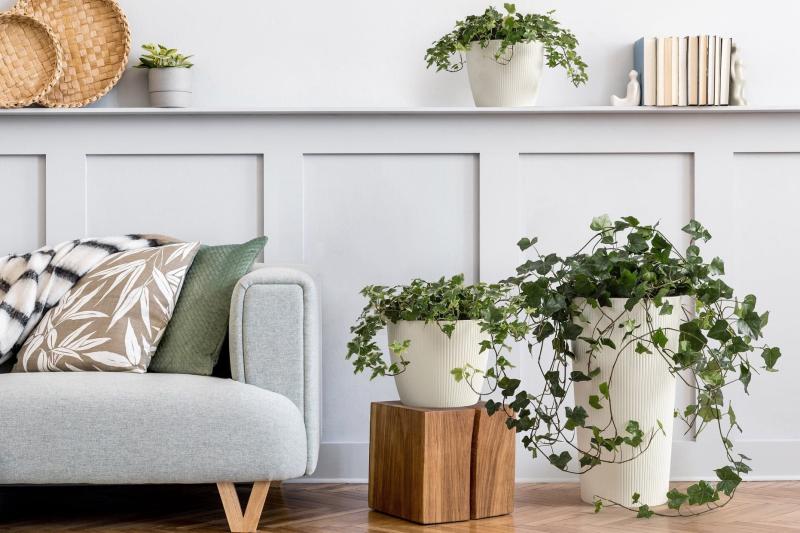 dbb7ba657b1666a477e12c05bfe1fb01