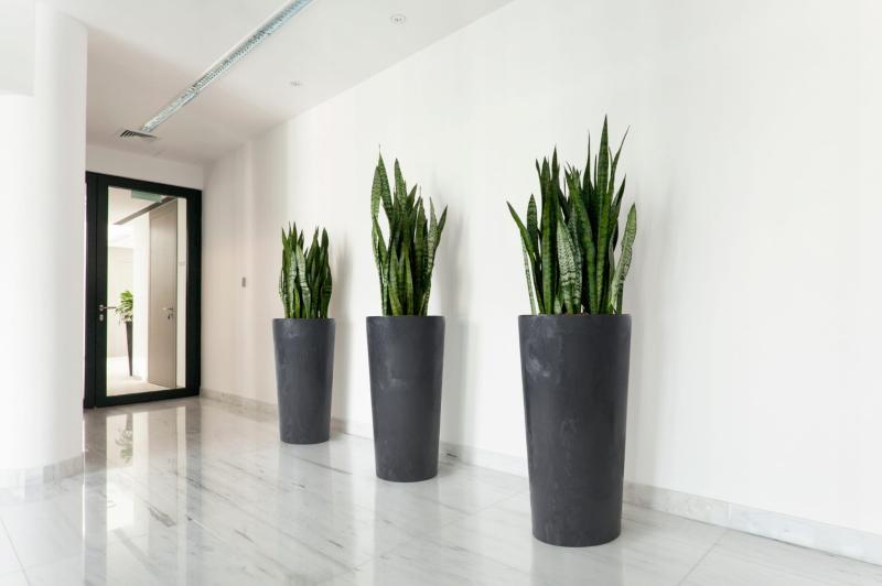 2c7a059681a4fa208cb922d329fad84a