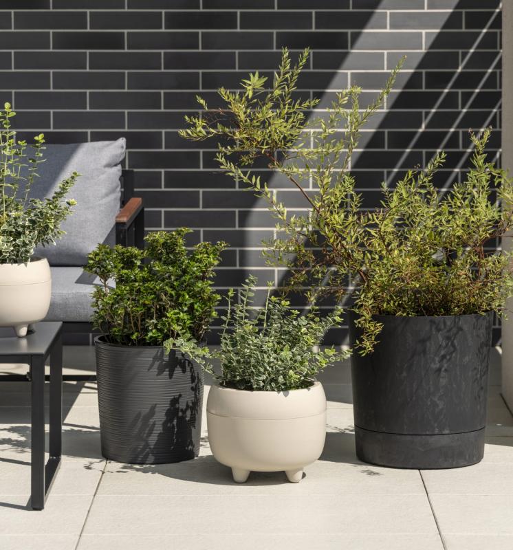 00e940e75da5d1c295bcd47474b6a36c