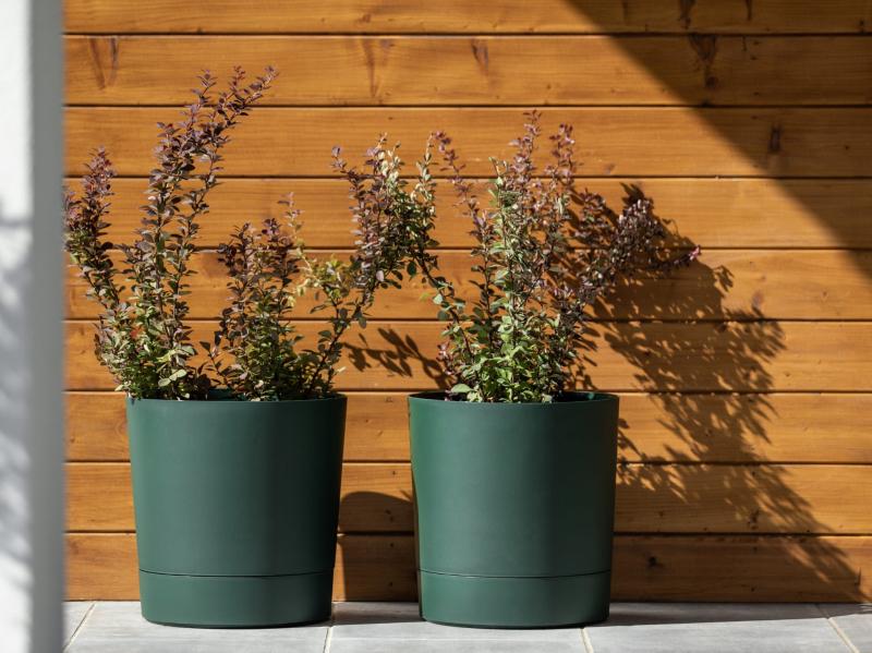 5a44492a7ae85fa428acebee433f0eb5