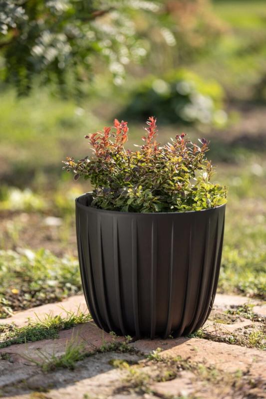 fdc5070774e0af0d8d806c1423561981