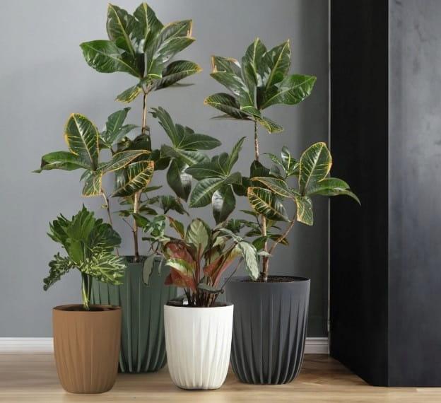 ce866acd81dc4e4201d23083420c739a