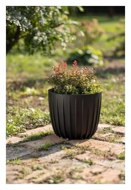 b9a5725c4f46c32ee018e4992ceb5ca8