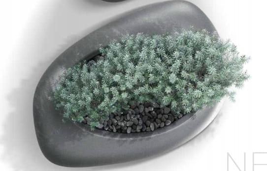 4124e25ba603ac05637ddf9992fa8ef2