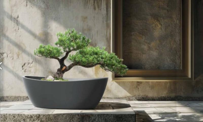 dedeaafd09ddbf629b6a94ae25e4afd5