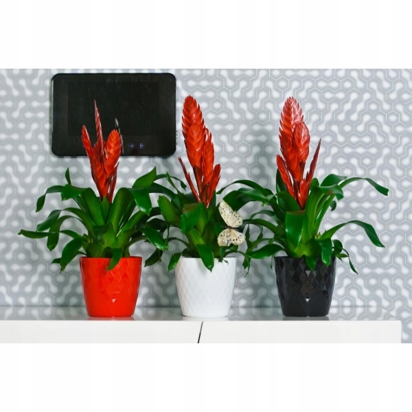Osłonka 23x25 cm tworzywo sztuczne szary DONICZKA 25CM POPIEL JASNY CRISTAL