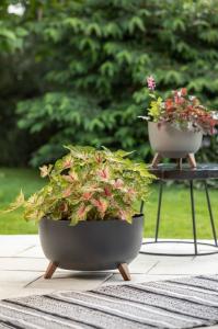 Doniczka misa roma 24 cm antracytowa 105/193-1