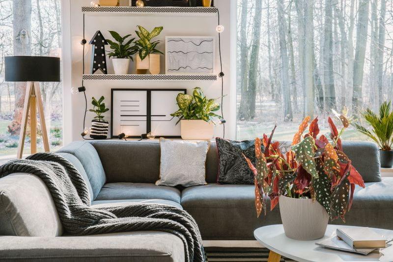 MAGNOLIA ECO JUMPER_2.jpg