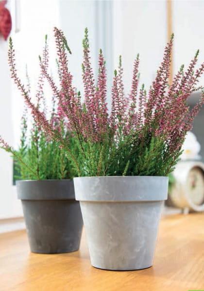 Osłonka Ibiza beton jasny beton.jpg