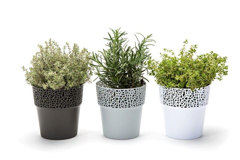 ROSA - zestawienie-biał_szary_antracyt_.jpg