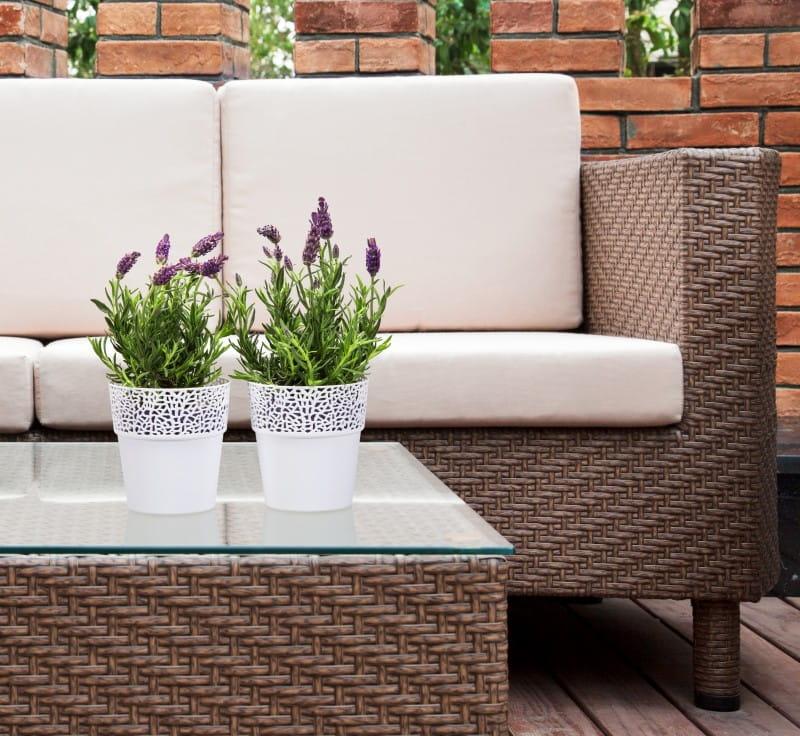 ROSA biały nr 05 (2)_.jpg