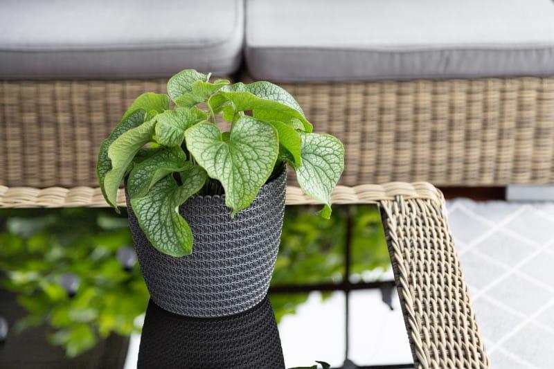 MAGNOLIA JERSEY szary 27_.jpg