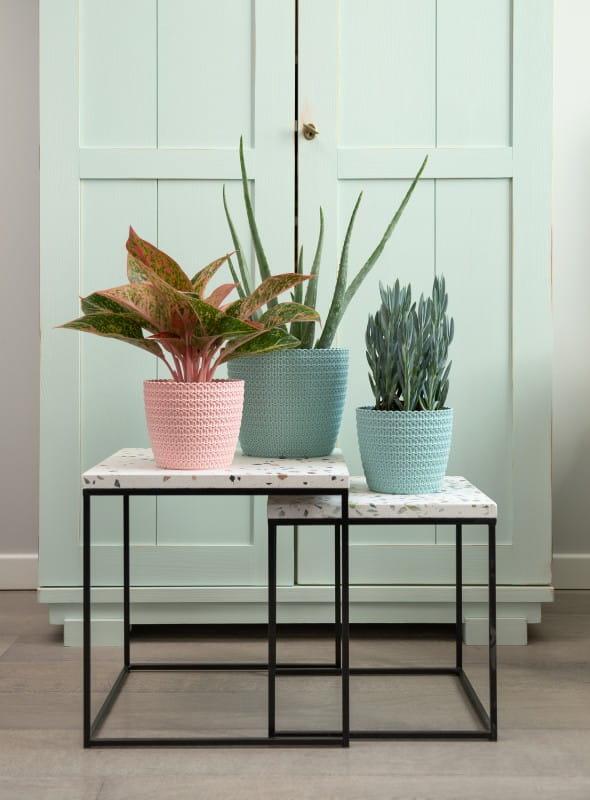 Magnolia jersey_miętowy +pudrowy róż_2_.jpg