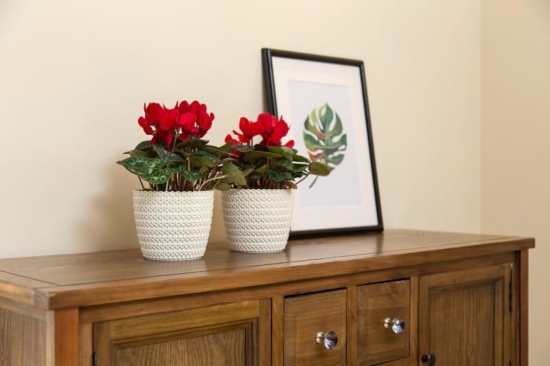 MAGNOLIA JERSEY kremowy nr 74 (2)_.jpg