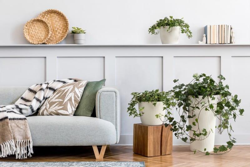 Magnolia jumper_Lilia jumper_kremowy_74_.jpg