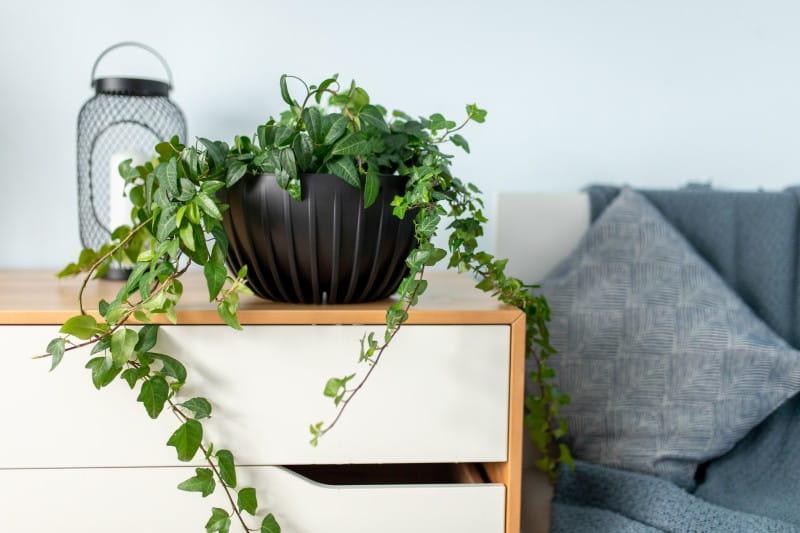 MIRA_misa eco recycled_czarny_3_.jpg