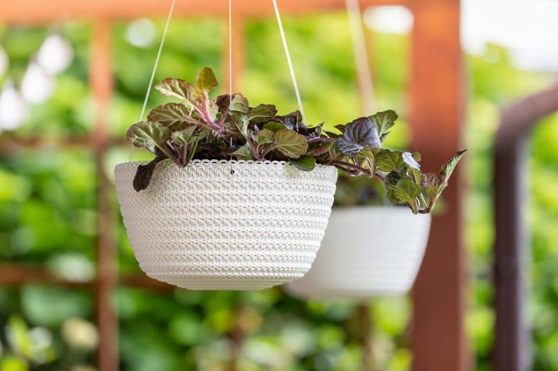 MISA WISZĄCA JERSEY kremowy 74_.jpg