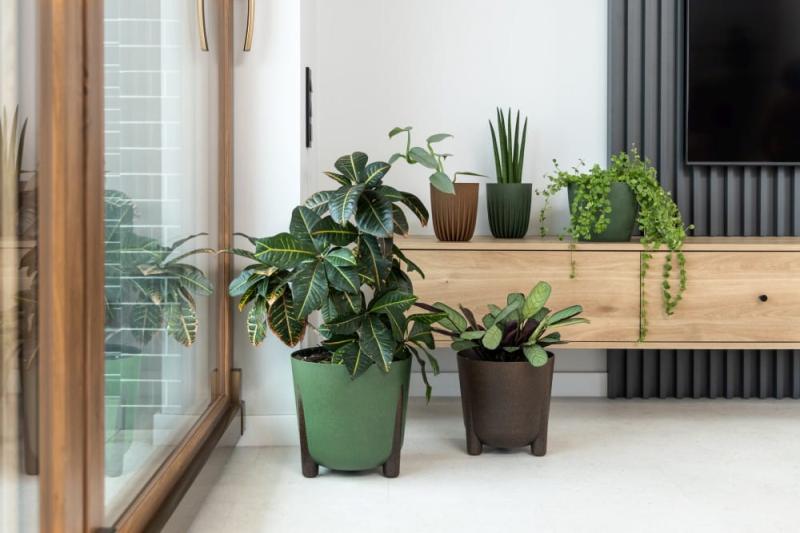 FRIDA eco wood_2.jpg